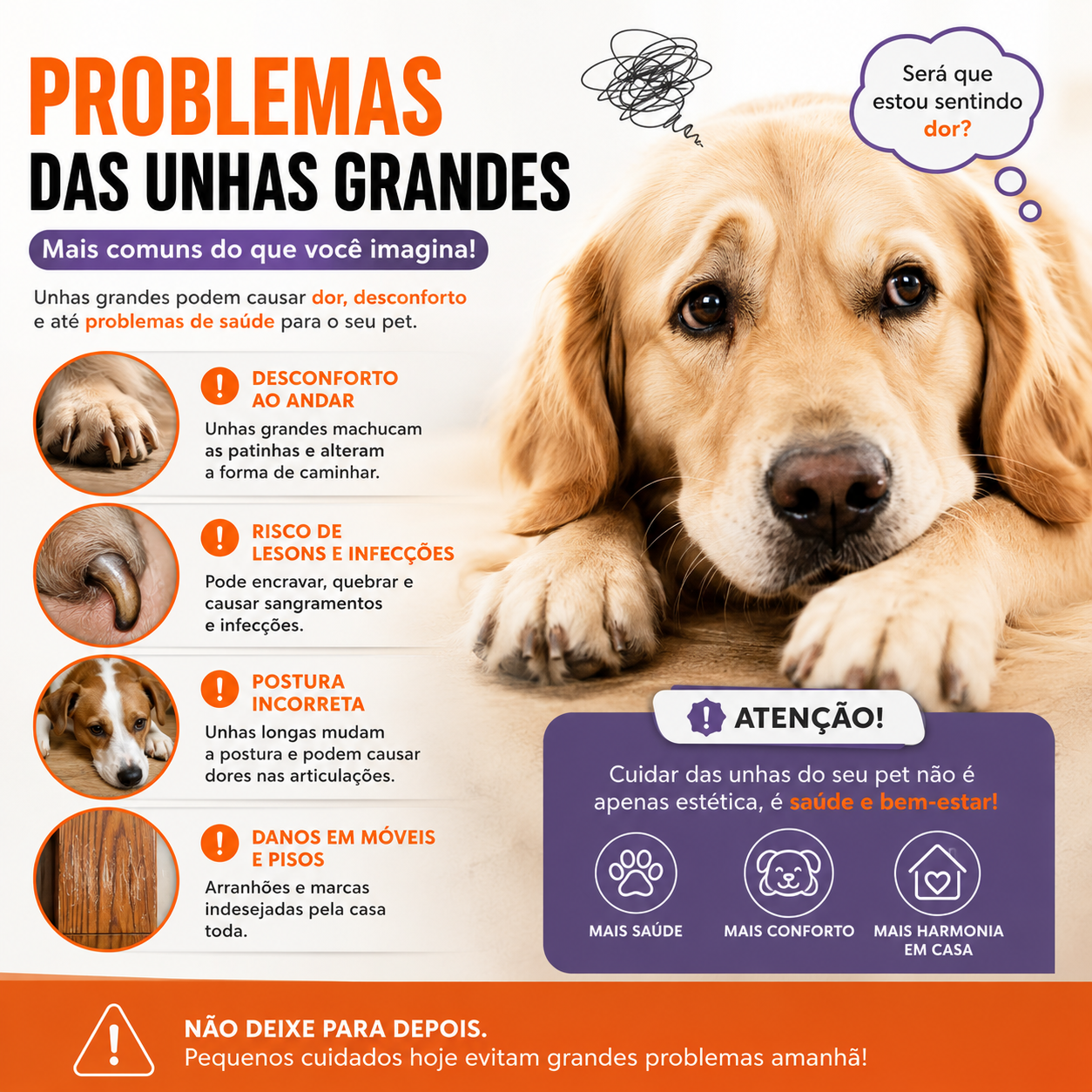 Lixador de Unhas Elétrico - vista 3