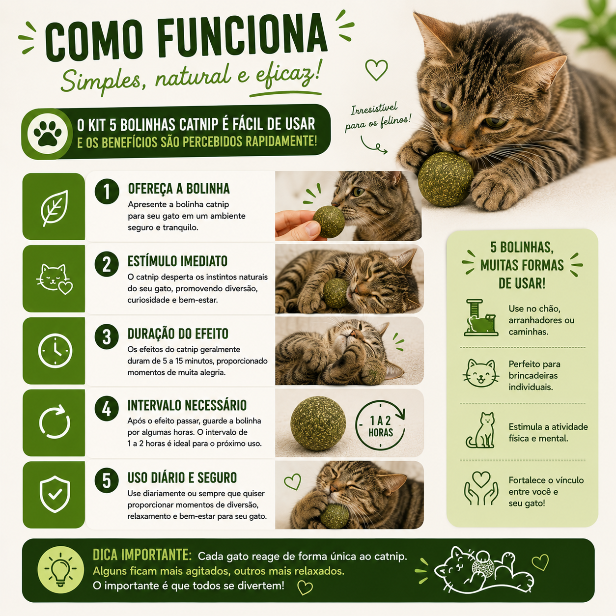 Kit 5 Bolinhas Catnip - vista 3