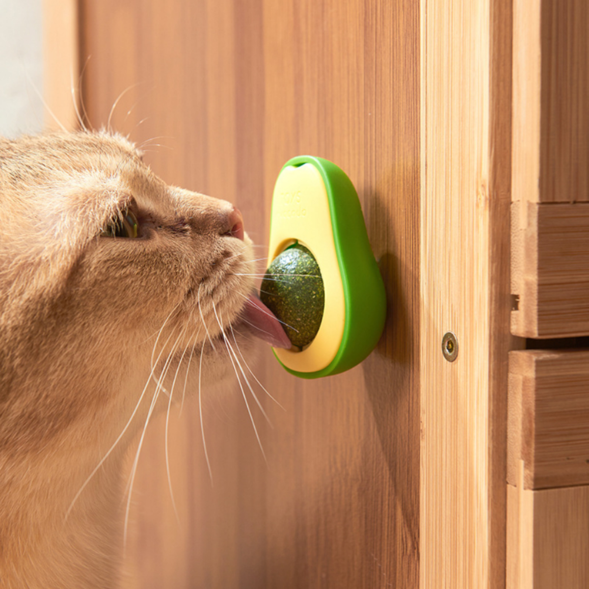 Abacate Catnip Interativo para Gatos