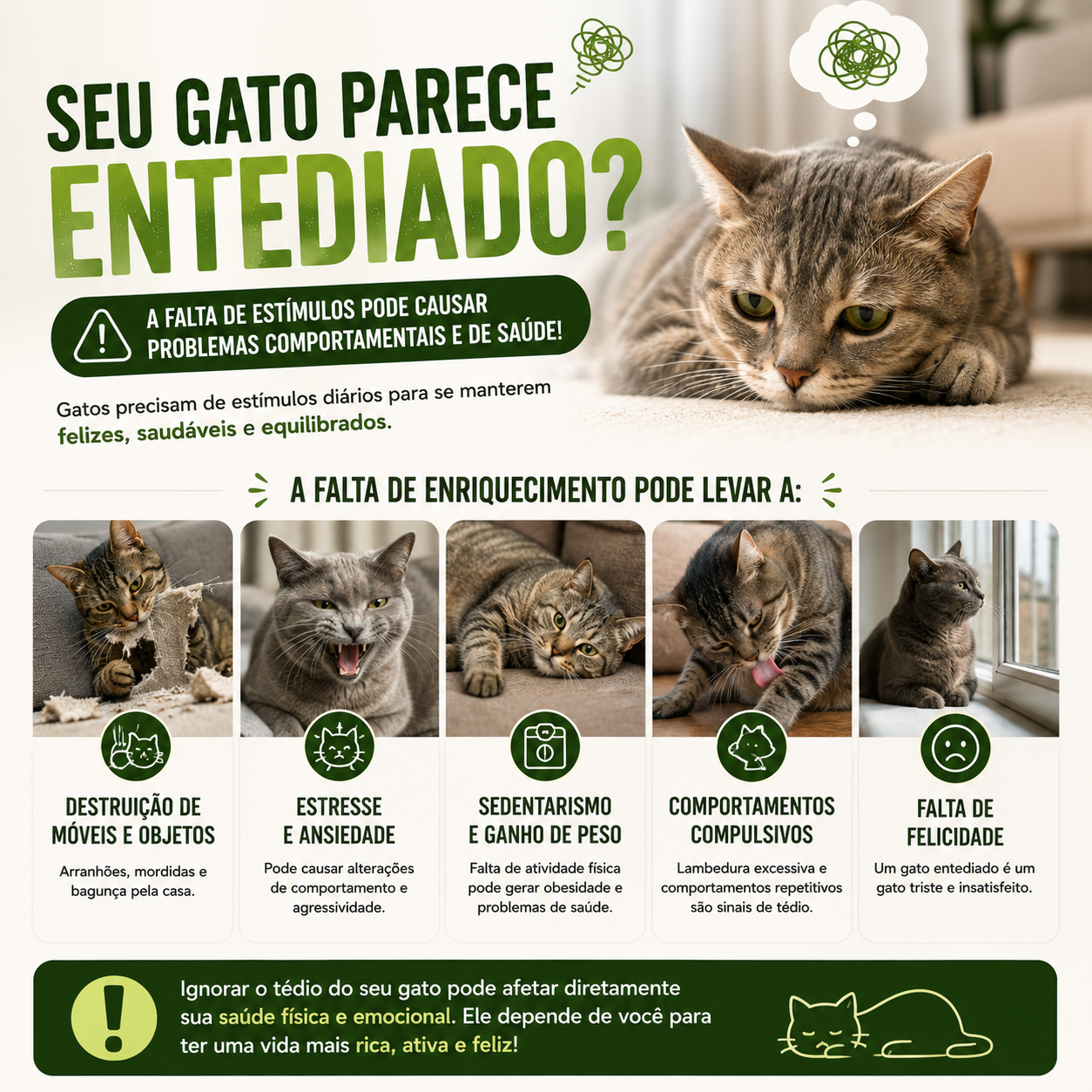 Kit 5 Bolinhas Catnip - vista 7